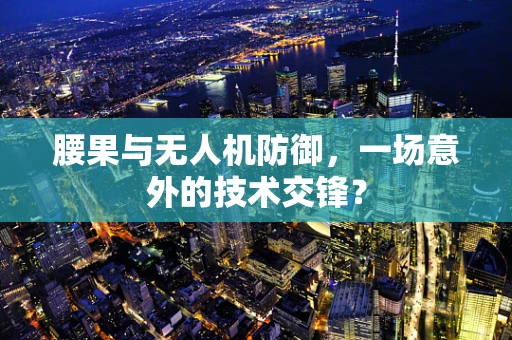 腰果与无人机防御，一场意外的技术交锋？