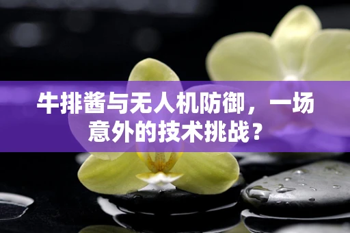 牛排酱与无人机防御，一场意外的技术挑战？