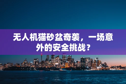 无人机猫砂盆奇袭，一场意外的安全挑战？