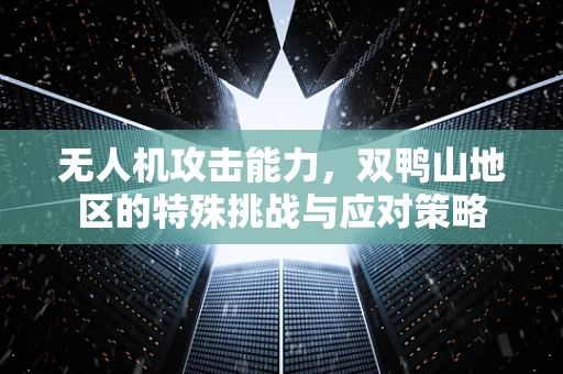 无人机攻击能力，双鸭山地区的特殊挑战与应对策略