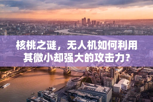 核桃之谜，无人机如何利用其微小却强大的攻击力？