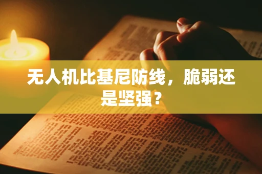 无人机比基尼防线，脆弱还是坚强？
