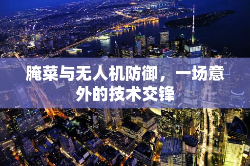 腌菜与无人机防御，一场意外的技术交锋