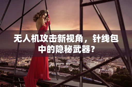 无人机攻击新视角，针线包中的隐秘武器？