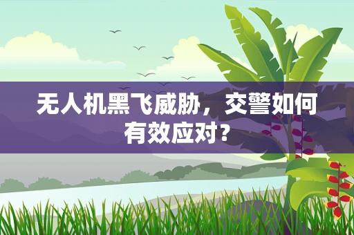 无人机黑飞威胁，交警如何有效应对？