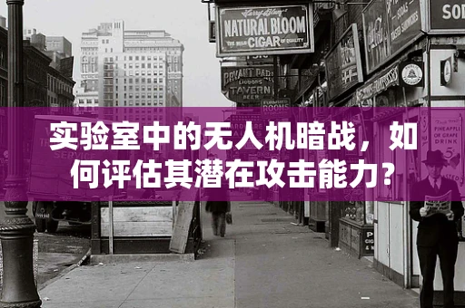 实验室中的无人机暗战，如何评估其潜在攻击能力？