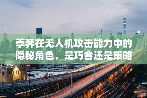 荸荠在无人机攻击能力中的隐秘角色，是巧合还是策略？