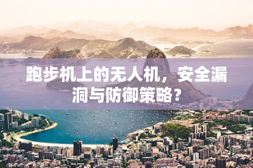 跑步机上的无人机，安全漏洞与防御策略？