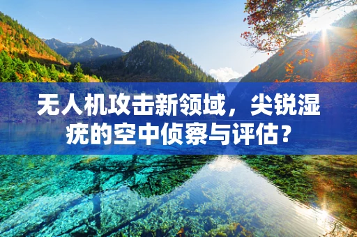 无人机攻击新领域，尖锐湿疣的空中侦察与评估？