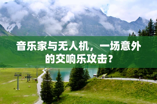 音乐家与无人机，一场意外的交响乐攻击？