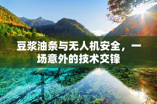 豆浆油条与无人机安全，一场意外的技术交锋