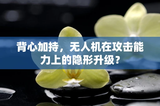 背心加持，无人机在攻击能力上的隐形升级？