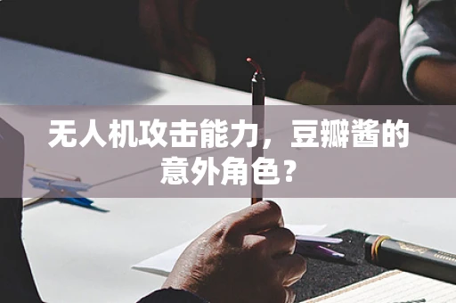 无人机攻击能力，豆瓣酱的意外角色？