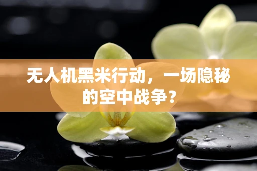 无人机黑米行动，一场隐秘的空中战争？