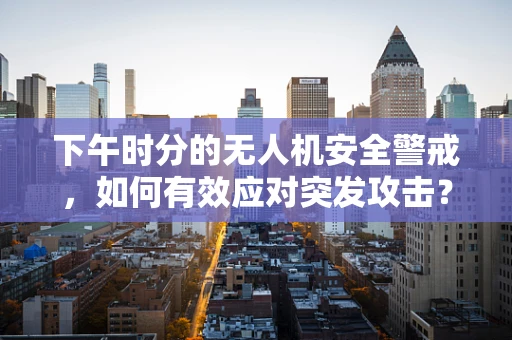 下午时分的无人机安全警戒，如何有效应对突发攻击？