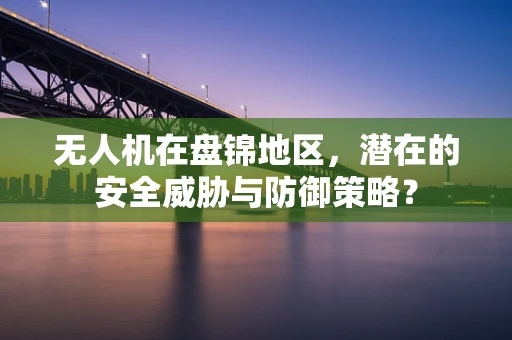 无人机在盘锦地区，潜在的安全威胁与防御策略？