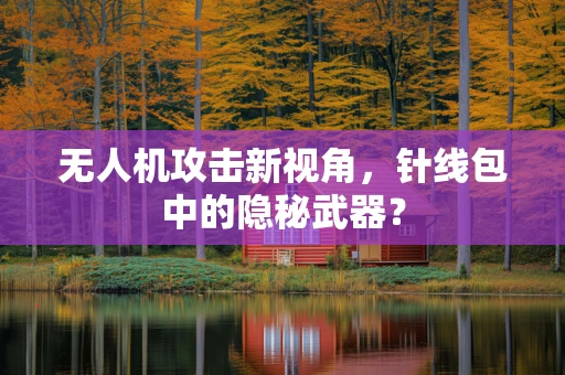 无人机攻击新视角，针线包中的隐秘武器？