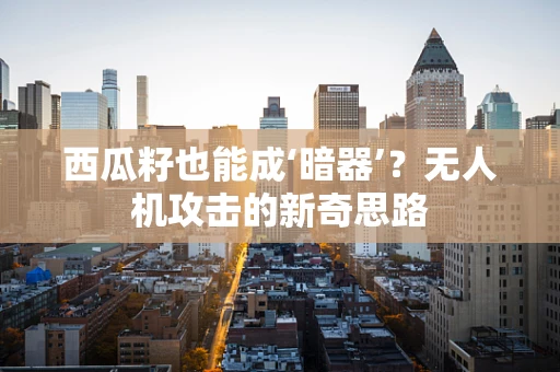 西瓜籽也能成‘暗器’？无人机攻击的新奇思路