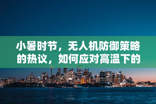 小暑时节，无人机防御策略的热议，如何应对高温下的潜在攻击？