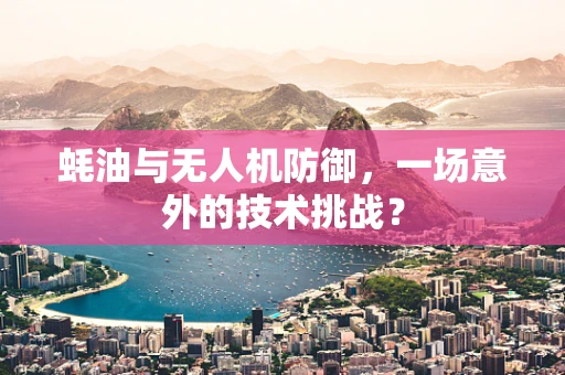 蚝油与无人机防御，一场意外的技术挑战？