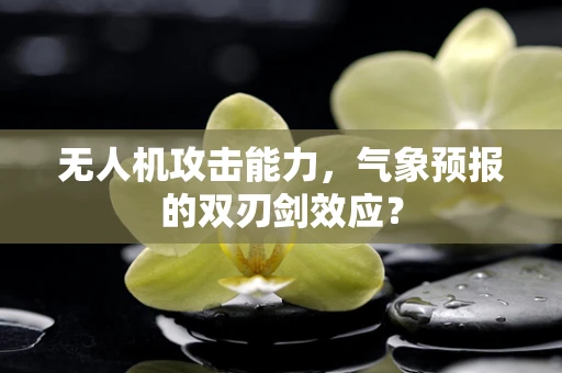 无人机攻击能力，气象预报的双刃剑效应？