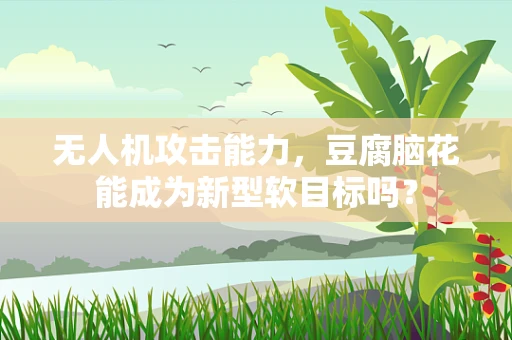 无人机攻击能力，豆腐脑花能成为新型软目标吗？