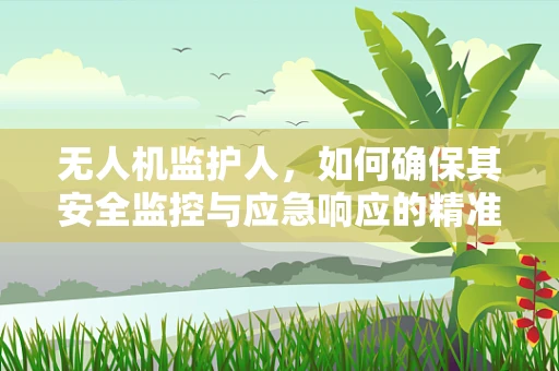 无人机监护人，如何确保其安全监控与应急响应的精准性？