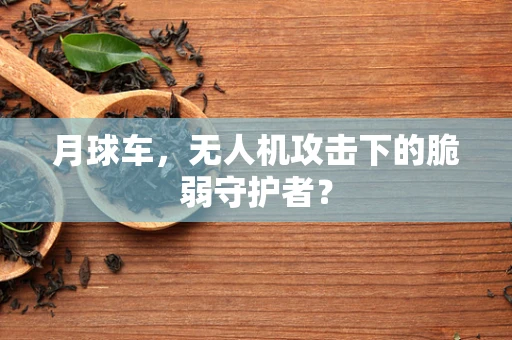 月球车，无人机攻击下的脆弱守护者？