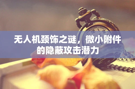无人机颈饰之谜，微小附件的隐蔽攻击潜力