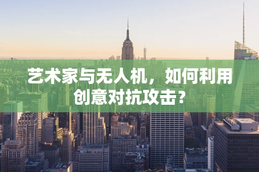 艺术家与无人机，如何利用创意对抗攻击？