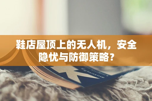 鞋店屋顶上的无人机，安全隐忧与防御策略？