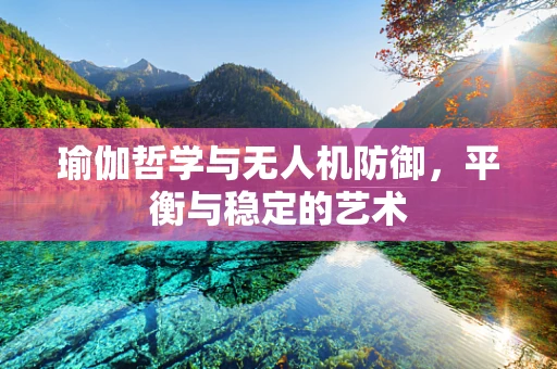 瑜伽哲学与无人机防御，平衡与稳定的艺术
