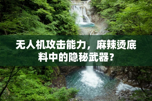 无人机攻击能力，麻辣烫底料中的隐秘武器？