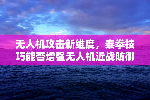 无人机攻击新维度，泰拳技巧能否增强无人机近战防御能力？