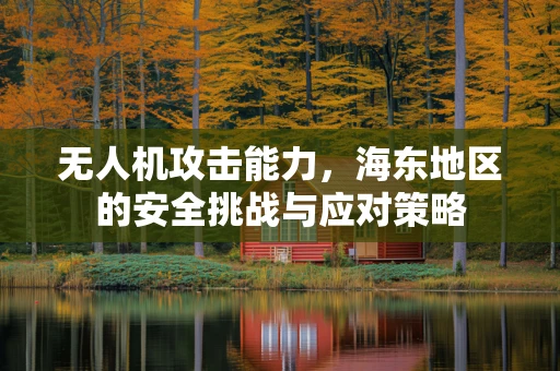 无人机攻击能力，海东地区的安全挑战与应对策略