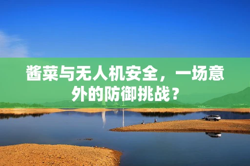 酱菜与无人机安全，一场意外的防御挑战？