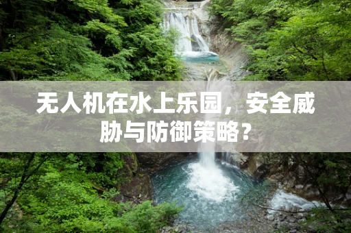 无人机在水上乐园，安全威胁与防御策略？