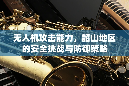 无人机攻击能力，韶山地区的安全挑战与防御策略