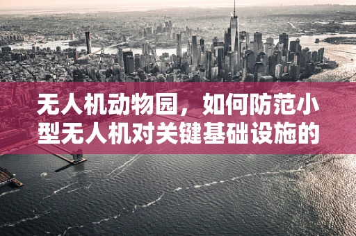 无人机动物园，如何防范小型无人机对关键基础设施的潜在威胁？