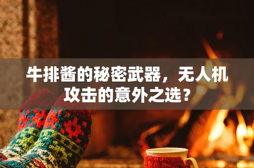 牛排酱的秘密武器，无人机攻击的意外之选？