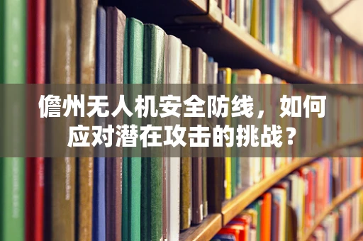 儋州无人机安全防线，如何应对潜在攻击的挑战？