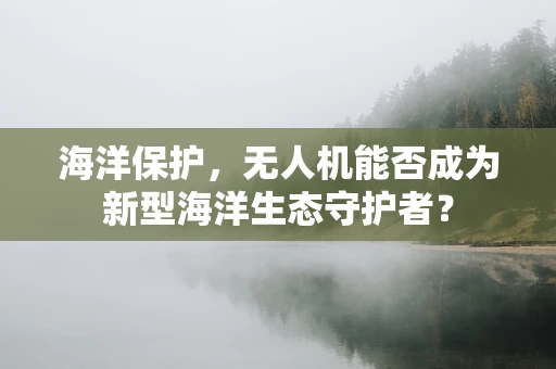 海洋保护，无人机能否成为新型海洋生态守护者？
