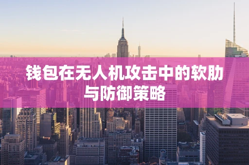 钱包在无人机攻击中的软肋与防御策略
