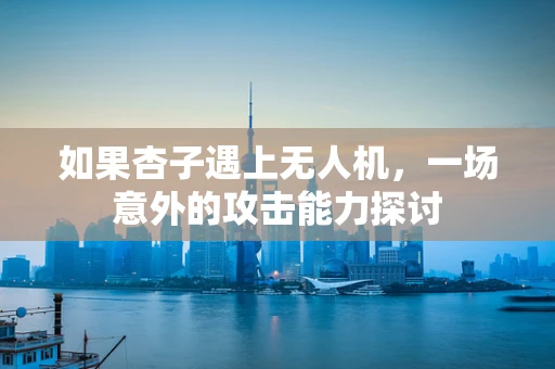 如果杏子遇上无人机，一场意外的攻击能力探讨