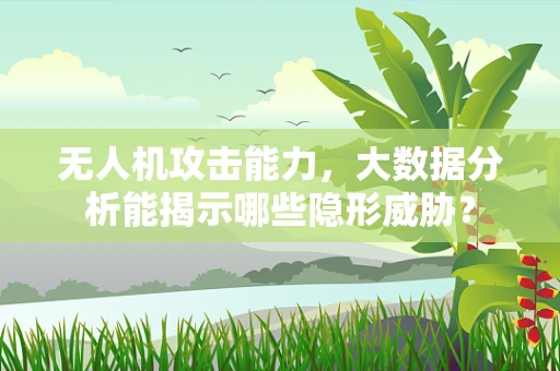 无人机攻击能力，大数据分析能揭示哪些隐形威胁？