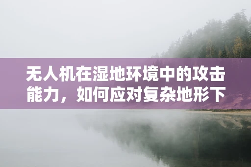 无人机在湿地环境中的攻击能力，如何应对复杂地形下的安全威胁？