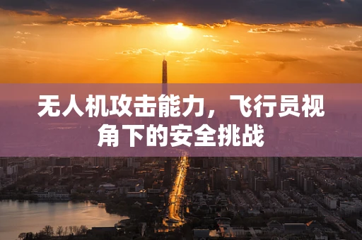无人机攻击能力，飞行员视角下的安全挑战