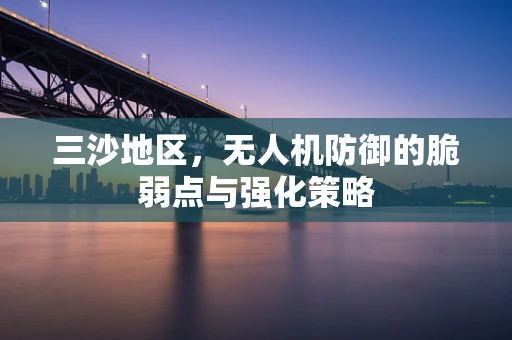 三沙地区，无人机防御的脆弱点与强化策略