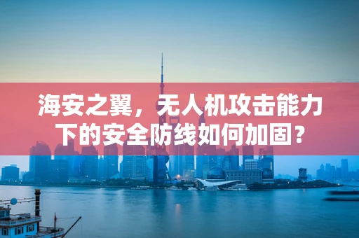 海安之翼，无人机攻击能力下的安全防线如何加固？