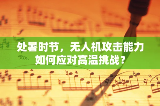 处暑时节，无人机攻击能力如何应对高温挑战？